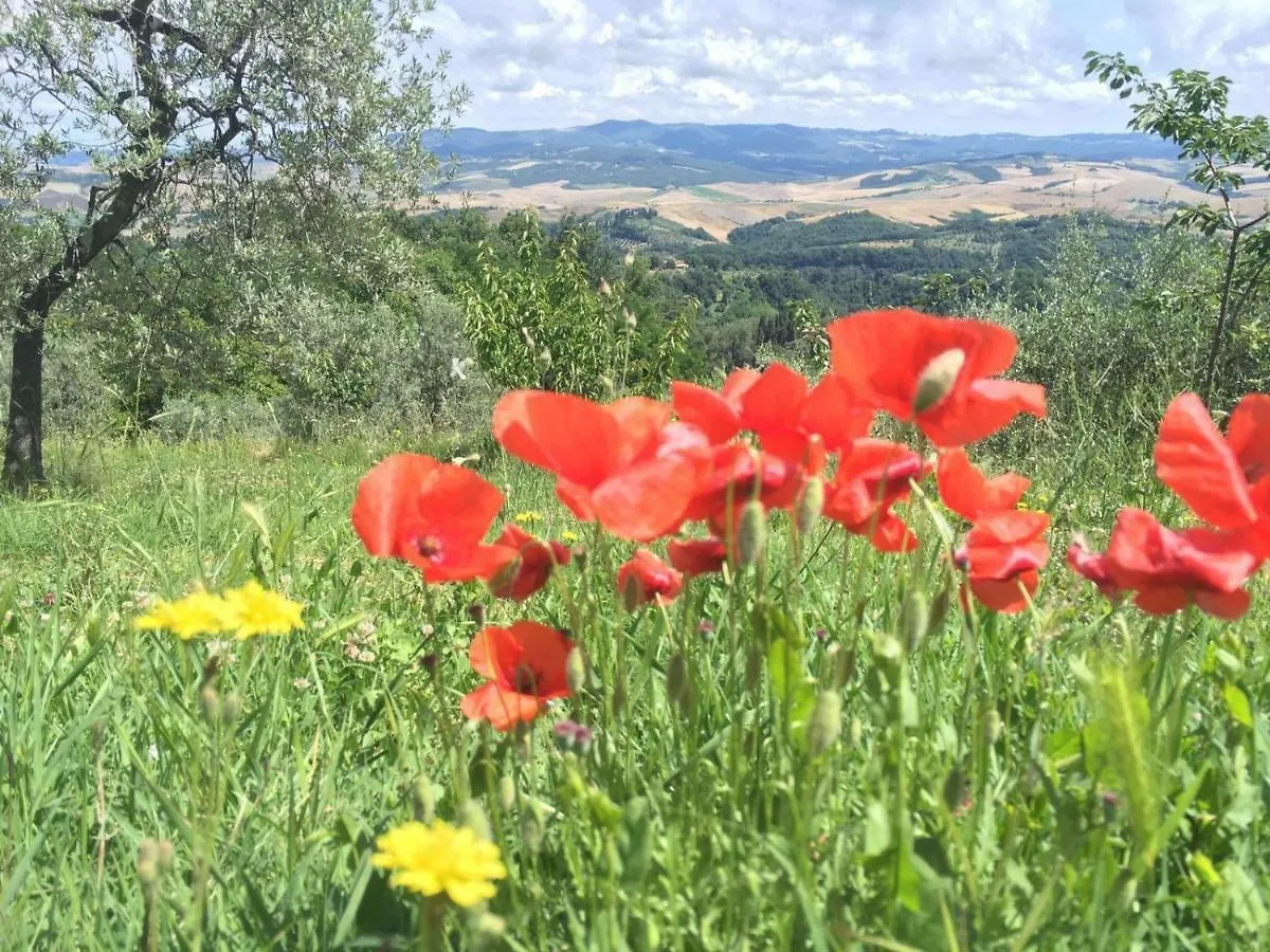 Casa Beppe Holiday home Volterra Italy